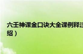 六壬神课金口诀大全课例释注（六壬神课金口诀相关内容简介介绍）