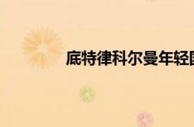 底特律科尔曼年轻国际机场相关内容简介