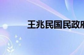 王兆民国民政府立法院议员简介