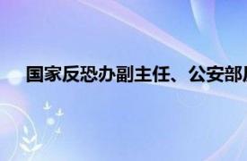 国家反恐办副主任、公安部反恐局副局长吴新相关内容简介