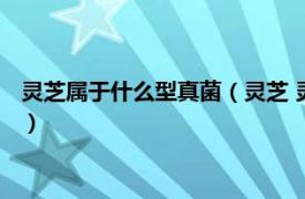 灵芝属于什么型真菌（灵芝 灵芝科灵芝属真菌相关内容简介介绍）