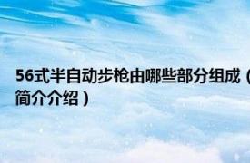 56式半自动步枪由哪些部分组成（56式半自动步枪 军事武器枪械相关内容简介介绍）