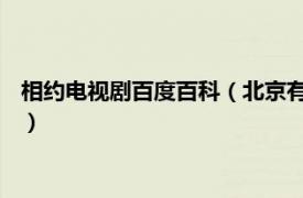 相约电视剧百度百科（北京有约 剧情类电视剧相关内容简介介绍）