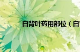 白背叶药用部位（白背叶相关内容简介介绍）