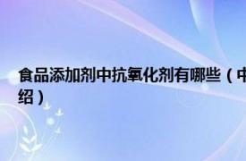 食品添加剂中抗氧化剂有哪些（中国食品添加剂 抗氧化剂相关内容简介介绍）