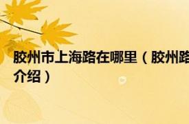 胶州市上海路在哪里（胶州路 山东省威海市胶州路相关内容简介介绍）