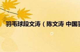 羽毛球段文涛（陈文涛 中国羽毛球运动员相关内容简介介绍）