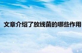 文章介绍了放线菌的哪些作用（放线菌素类相关内容简介介绍）