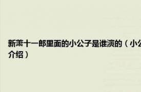 新萧十一郎里面的小公子是谁演的（小公子 电视剧《新萧十一郎》中角色相关内容简介介绍）