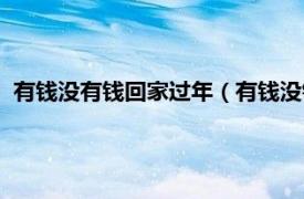 有钱没有钱回家过年（有钱没钱都回家过年相关内容简介介绍）