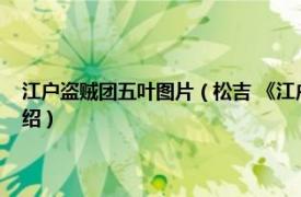 江户盗贼团五叶图片（松吉 《江户盗贼团五叶》人物之一相关内容简介介绍）