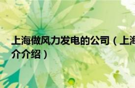 上海做风力发电的公司（上海申鑫风力发电有限公司相关内容简介介绍）