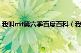 我叫mt第六季百度百科（我叫mt第6季相关内容简介介绍）