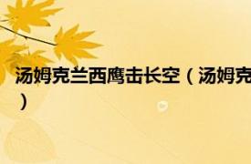 汤姆克兰西鹰击长空（汤姆克兰西：鹰击长空2相关内容简介介绍）