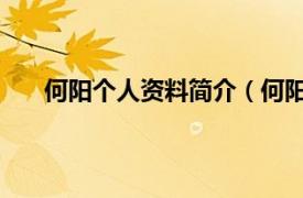 何阳个人资料简介（何阳 艺术家相关内容简介介绍）