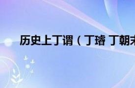 历史上丁谓（丁璿 丁朝末代皇帝相关内容简介介绍）