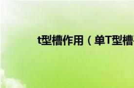 t型槽作用（单T型槽平台相关内容简介介绍）