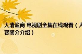 大清盐商 电视剧全集在线观看（大清盐商 2014年韩晓军执导电视剧相关内容简介介绍）