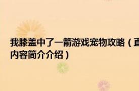 我膝盖中了一箭游戏宠物攻略（直到我的膝盖中了一箭 益智休闲游戏相关内容简介介绍）