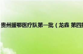 贵州援鄂医疗队第一批（龙鑫 第四批贵州援鄂抗疫人员相关内容简介介绍）