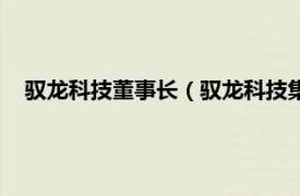 驭龙科技董事长（驭龙科技集团有限公司相关内容简介介绍）