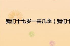 我们十七岁一共几季（我们十七岁第一季相关内容简介介绍）