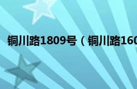 铜川路1809号（铜川路1601-1613号相关内容简介介绍）