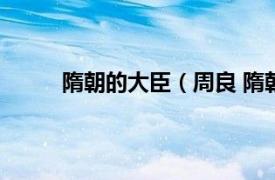 隋朝的大臣（周良 隋朝大臣相关内容简介介绍）