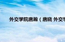 外交学院唐瀚（唐晓 外交学院副教授相关内容简介介绍）