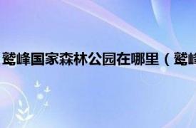 鹫峰国家森林公园在哪里（鹫峰国家森林公园相关内容简介介绍）