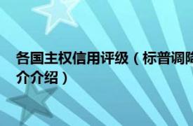 各国主权信用评级（标普调降美国长期主权信用评级相关内容简介介绍）