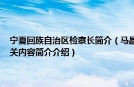 宁夏回族自治区检察长简介（马晶晶 宁夏回族自治区人民检察院检察员相关内容简介介绍）