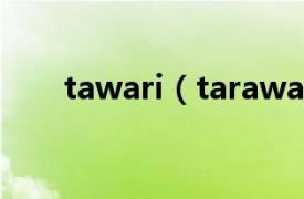 tawari（tarawa相关内容简介介绍）