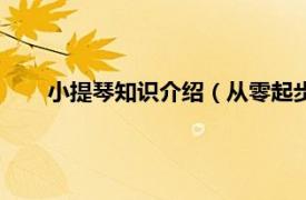 小提琴知识介绍（从零起步学小提琴相关内容简介介绍）