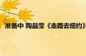 准备中 陶晶莹《走路去纽约》专辑中的歌曲相关内容简介介绍