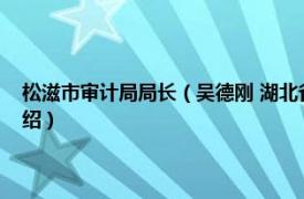 松滋市审计局局长（吴德刚 湖北省松滋市纪委调研室主任相关内容简介介绍）