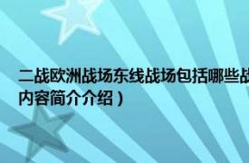 二战欧洲战场东线战场包括哪些战役（第二战场 二战时期的西欧战场相关内容简介介绍）