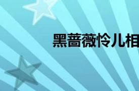 黑蔷薇怜儿相关内容简介介绍