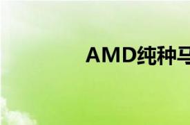 AMD纯种马相关内容介绍