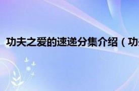 功夫之爱的速递分集介绍（功夫之爱的速递相关内容简介介绍）