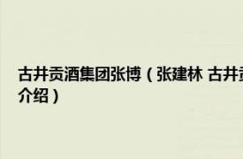 古井贡酒集团张博（张建林 古井贡酒股份有限公司副总经理相关内容简介介绍）