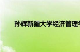 孙辉新疆大学经济管理学院教授、博士生导师简介