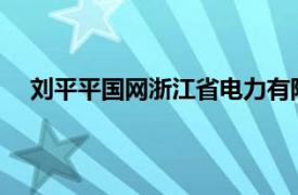 刘平平国网浙江省电力有限公司湖州供电公司员工简介