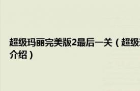 超级玛丽完美版2最后一关（超级玛丽完美版2无敌版 放大版相关内容简介介绍）