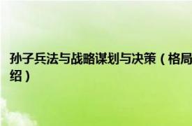 孙子兵法与战略谋划与决策（格局决定结局：活用孙子兵法相关内容简介介绍）