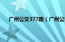 广州公交377路（广州公交376路相关内容简介介绍）