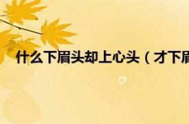 什么下眉头却上心头（才下眉头却上心头相关内容简介介绍）