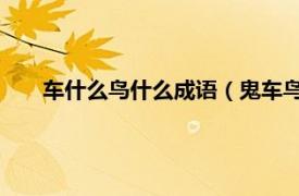 车什么鸟什么成语（鬼车鸟 汉语词语相关内容简介介绍）