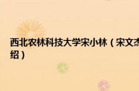 西北农林科技大学宋小林（宋文杰 西北农林科技大学教师相关内容简介介绍）