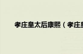 孝庄皇太后康熙（孝庄皇太后1相关内容简介介绍）